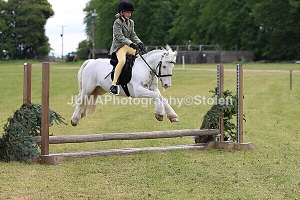 IMG_2528 - Working Hunter