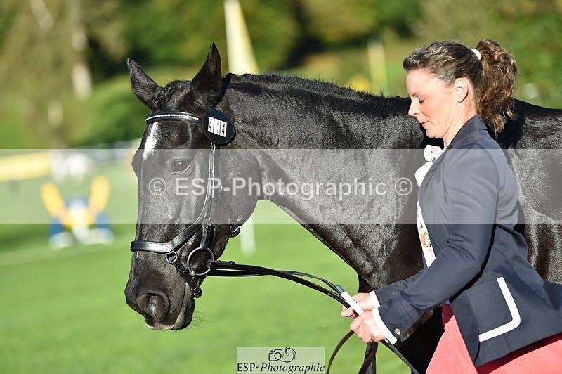 231022-093902-21947 - 414-LAMBORO.SPARKY-Lucy.Jowett-TrotUp+SJ