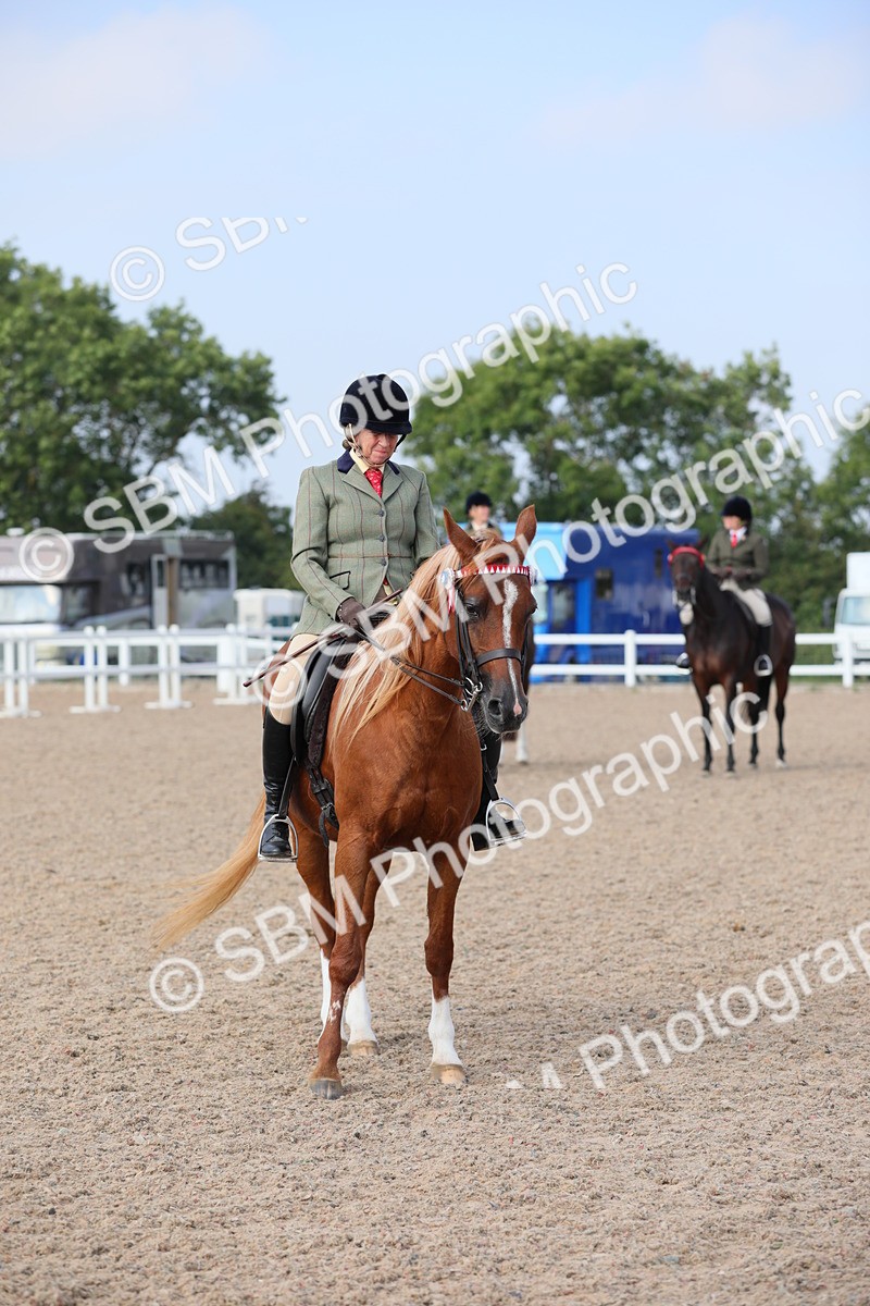 SBM_11394 - Class 305 Ridden Foreign Breeds- Pure Bred