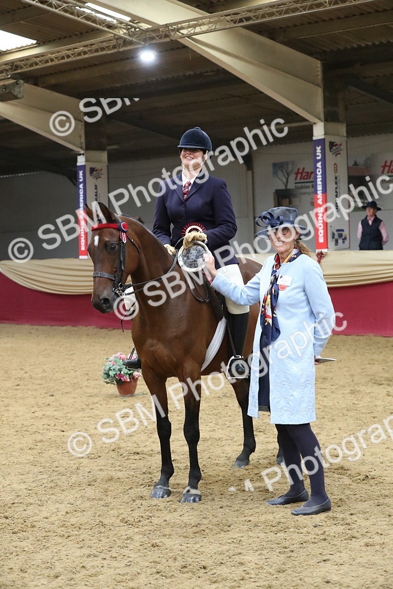 SBM_08462 - Class 11R Regional Ridden Veteran