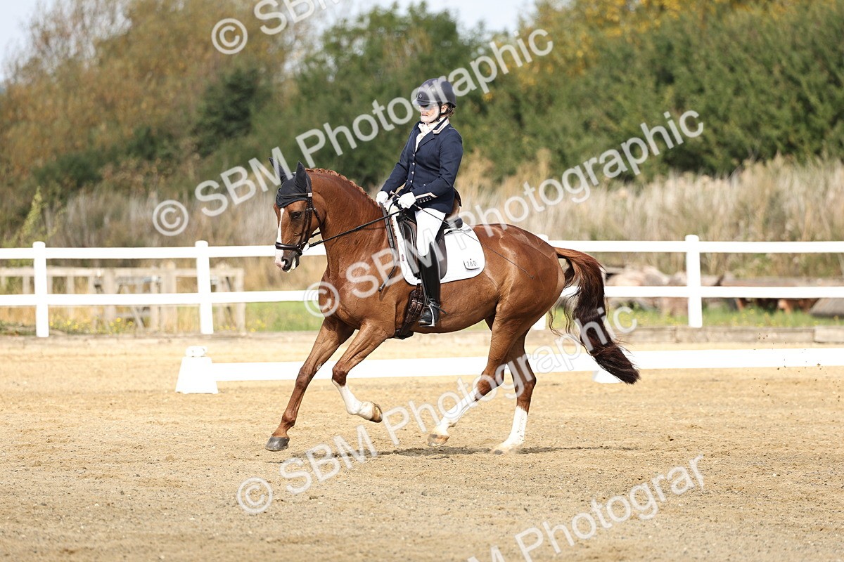 SBM_017482 - Class 12-14 - Intro 2-Prelim 5