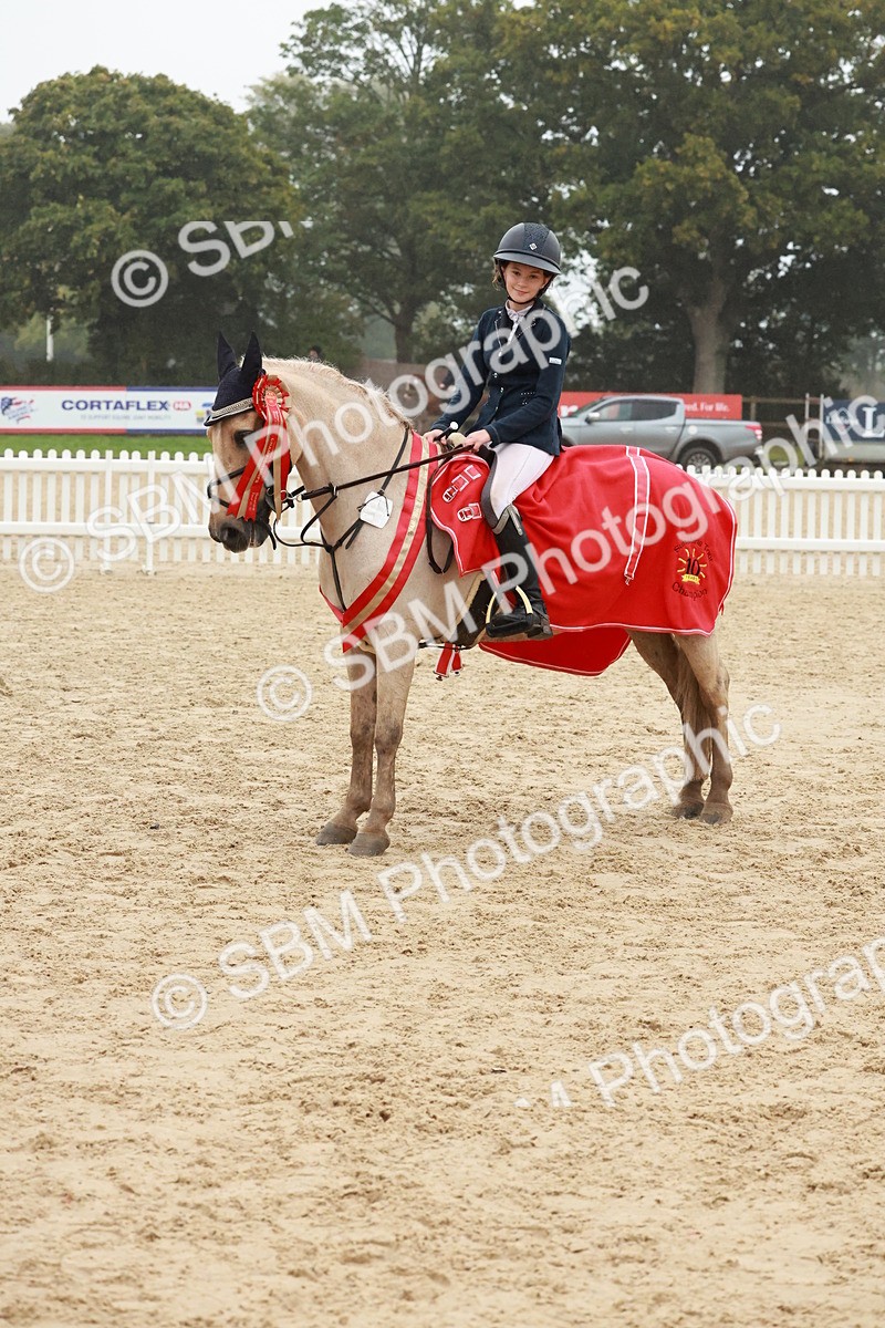 SBM_73540 - Supreme Championship Junior Pony 60cm & 65cm