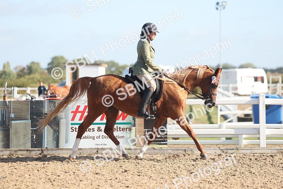 SBM_22281 - Class 803 - Ridden Combination 65+