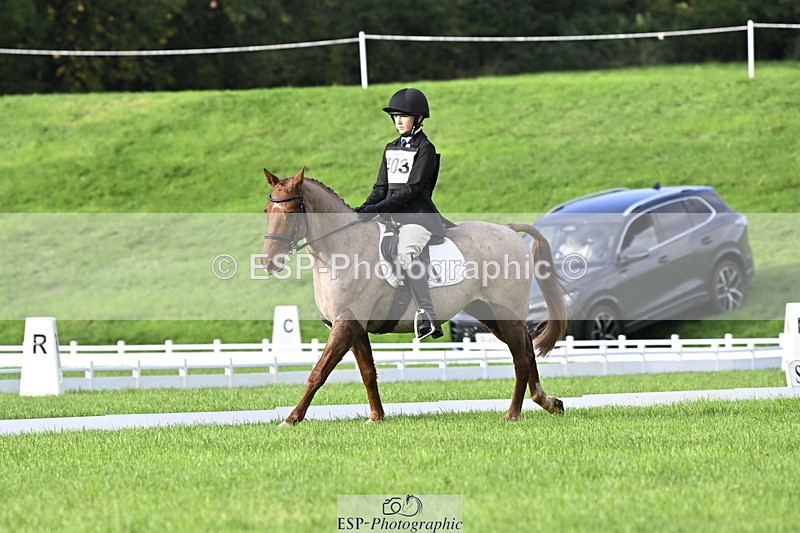 251023A-102031-02819 - F-403-Hugo.Moor