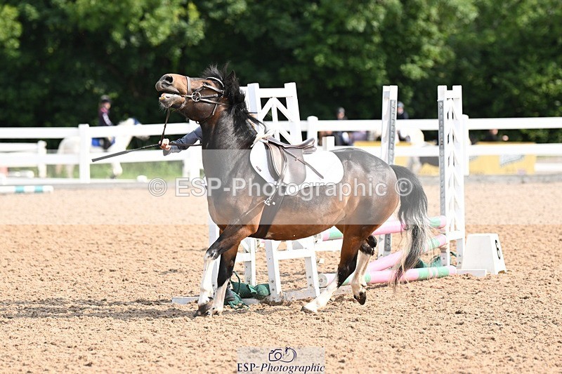250608-092929-01860 - Cls 21 Clear Round 50cm