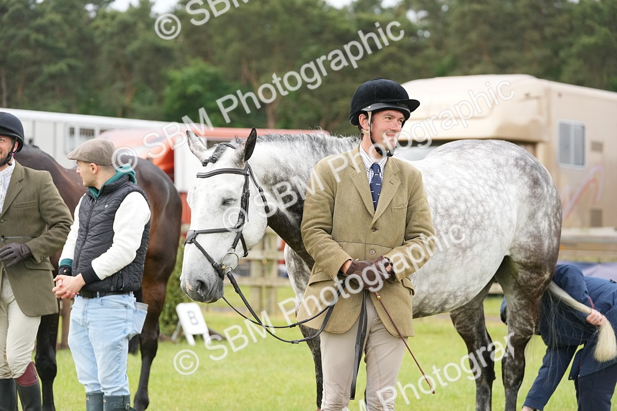 SBM_12734 - Class 97-98 - LIHS BSHA Rising Star Working Show Horse Hunter