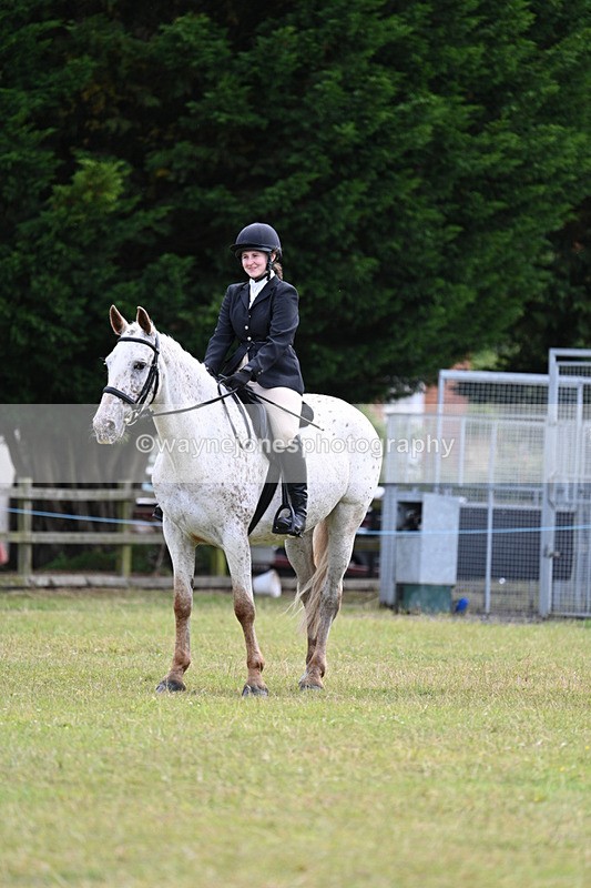 WJ7_8510 - Class 7  Riding Club Show Horse