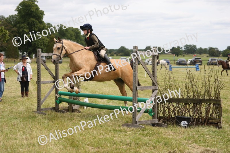 20260614-2968 - Class 22 - Open Working Hunter