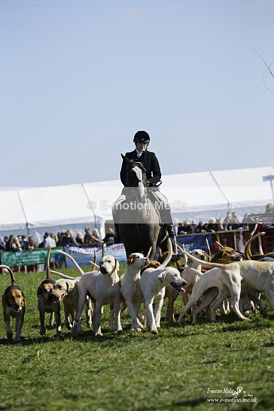 PtP 200322 80 - Mendip Farmers Point-to-Point 20/03/22