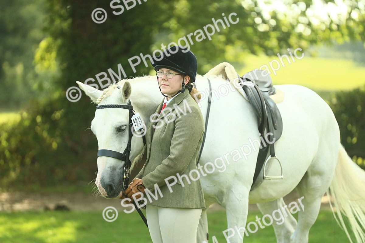 SBM_52142 - S33 - Working Hunter & Working Show Horse