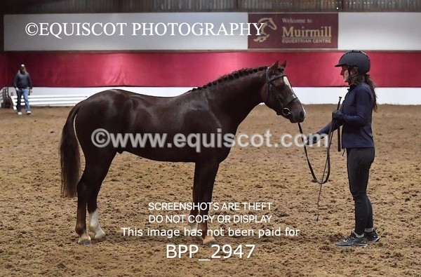 BPP_2947 - LOOSE JUMPING / SPSS