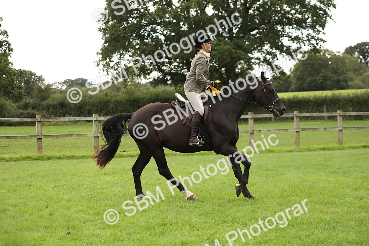 SBM_73897 - S41 - Ridden Equitation (Best Rider)