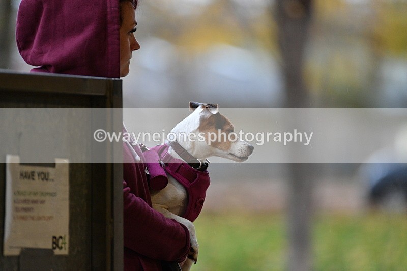 WJ5_8598 - Class 5 Novice Test 3