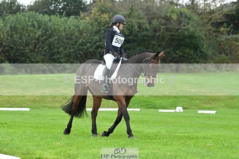 241024-114317-03296 - 509-Tichy.Sanders-SPARHANGER.VELVET