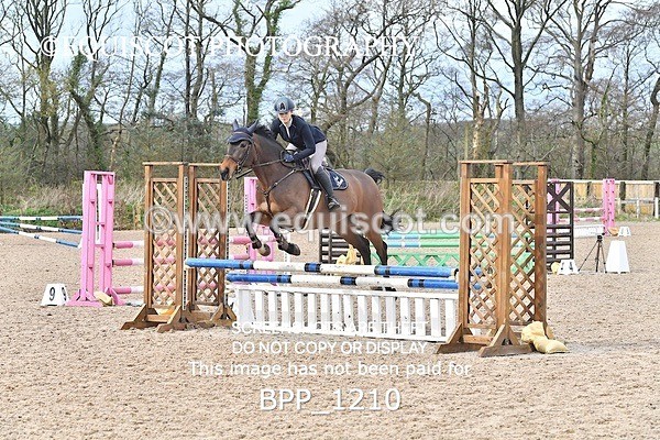 BPP_1210 - CLASS 4 Senior British Novice/ 90cm Open