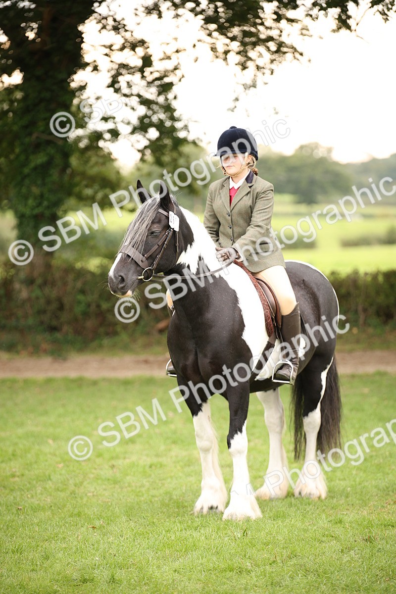 SBM_73557 - S68 - Traditional Cob Ridden