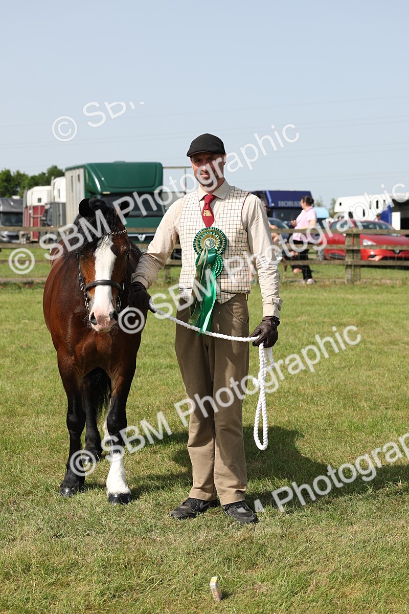 SBM_02176 - Class 6-13 - Mountatin and Moorland In Hand Welsh Breeds