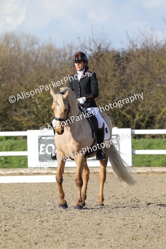 20260314-5792 - DR 7 - Elementary 1