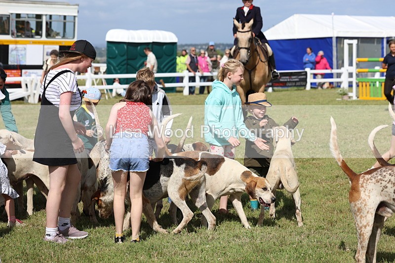 3E7A3414 - Parade of Hounds