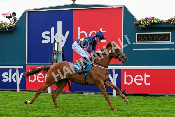 260725-Race 1-Golden Palace-0219 - Race 1 1.25pm £100K ITV7 Jackpot Today EBF Fillies' Novice Stakes