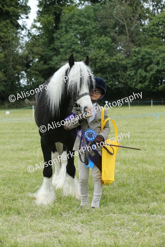 20260614-4333 - Class 18 - Best Junior Handler