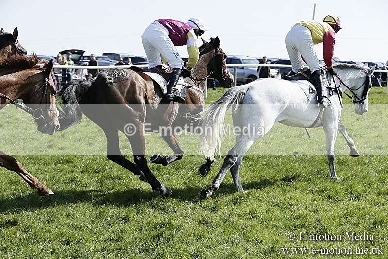 PtP 260317 125 - Mendip Farmers Point-to-Point Ston Easton 26/03/17