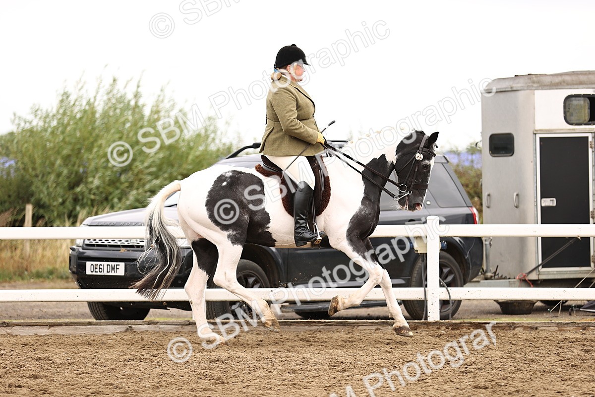 SBM_01355 - Class 54 - Riding Club Horse Pony