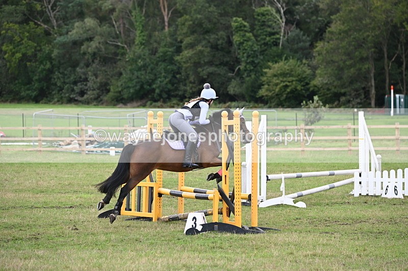 WJ6_1725 - 60cm Time 12:11 to 12:28