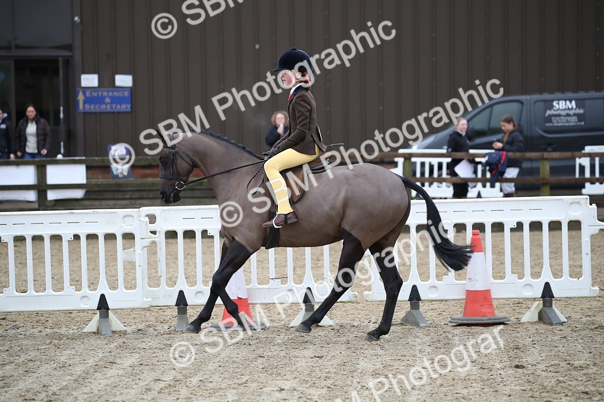 SBM_004613 - Class 5-9 - NPS In Hand-Show Hunter-Intermediate Ridden Inc Ridden Championship