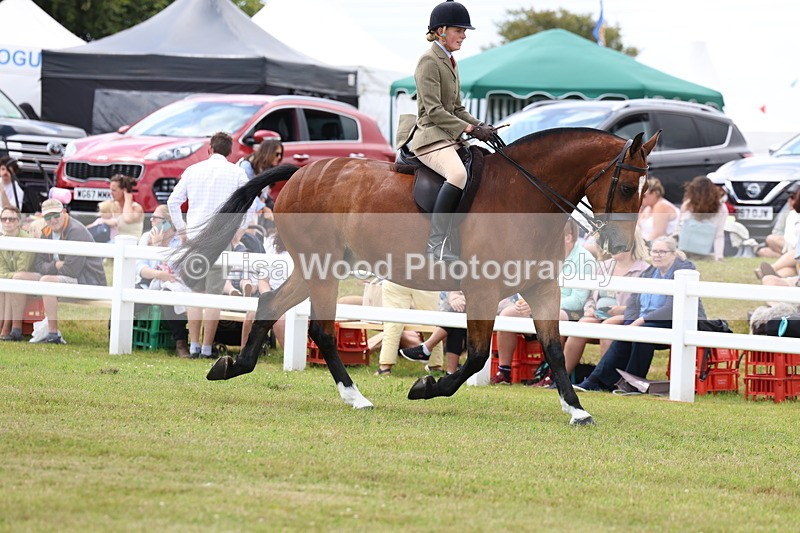 3E7A1902 - Class 10: Open Cob