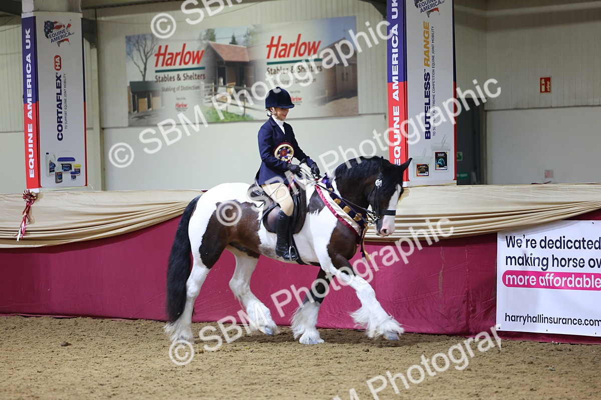 SBM_18588 - Class B Junior Champ 11-16 years