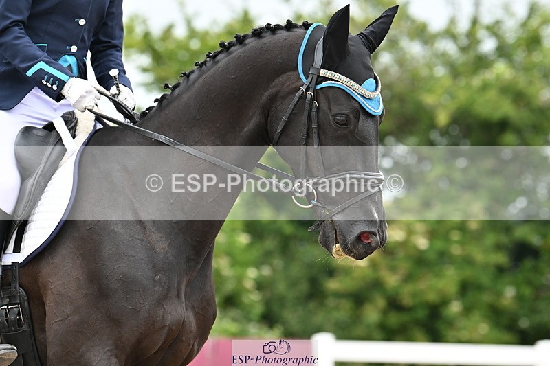 240623A-140036-18905 - Cls 51 BD Elementary 53