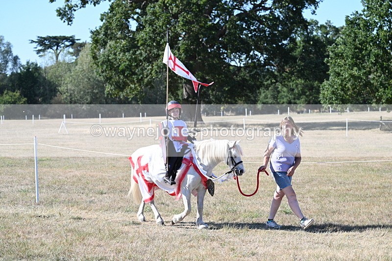 WJ7_2319 - Class 45 Fancy Dress (My Fav)