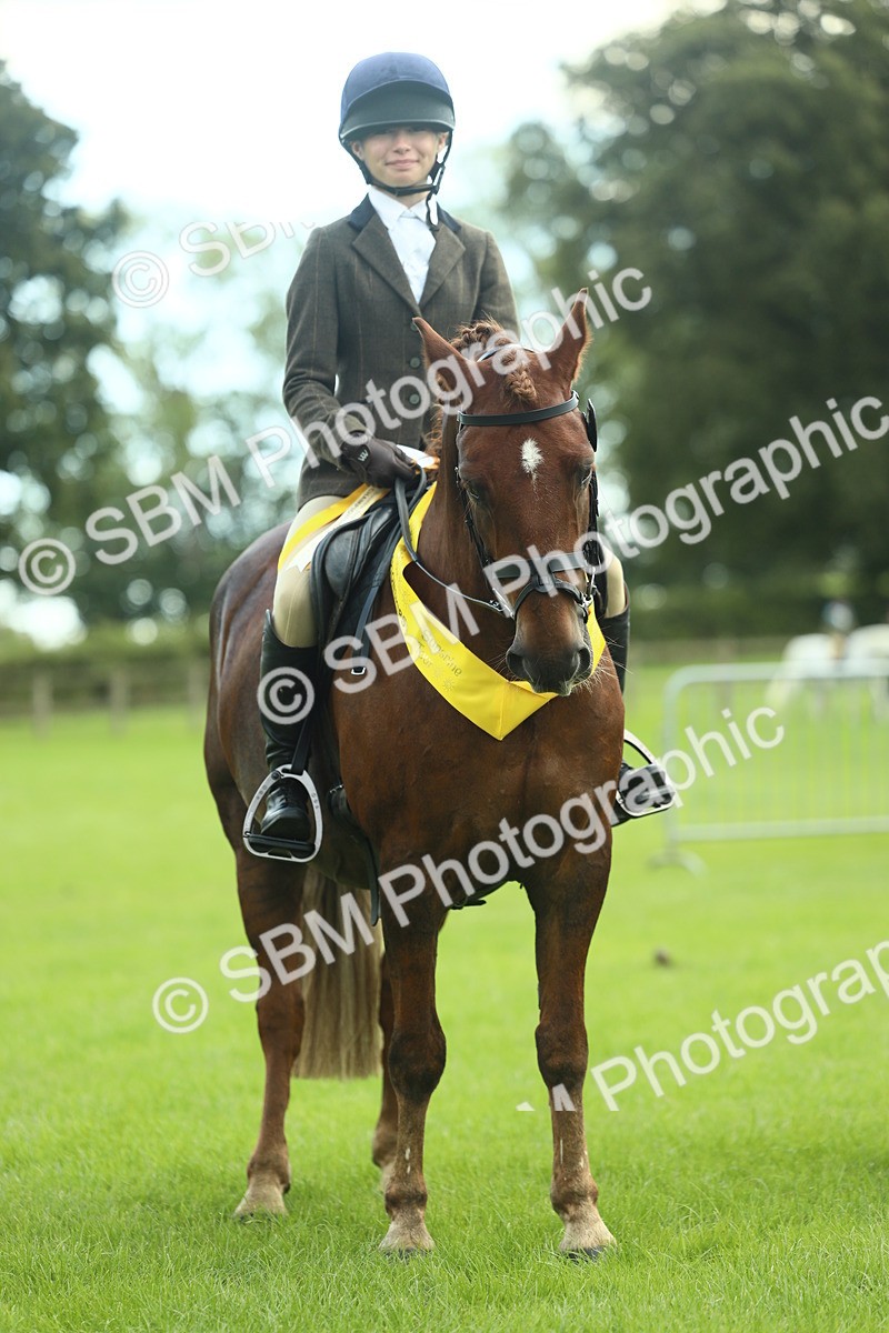 SBM_42197 - S29 - Novice & Newcomers Working Hunter Pony