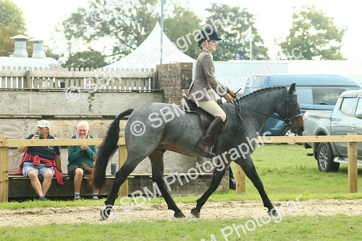 SBM_62584 - S63 - Other Coloured Horse Ridden