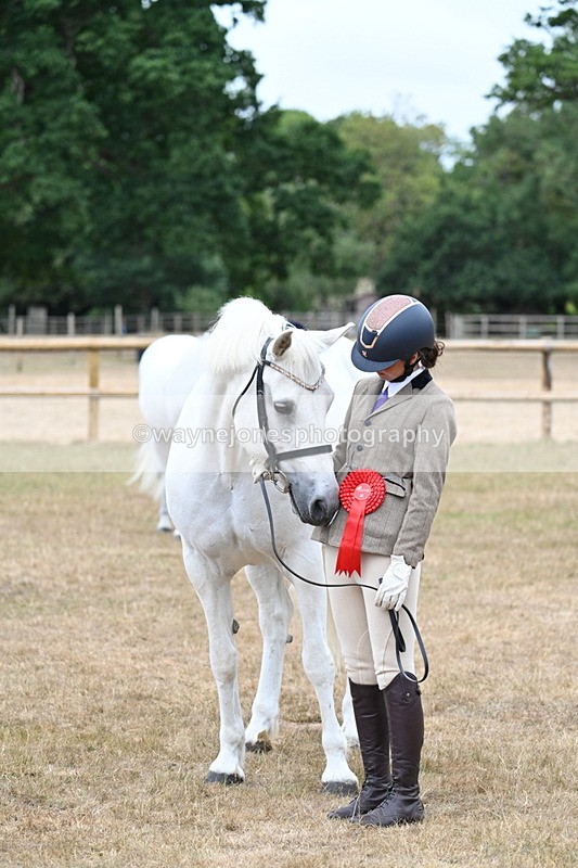 WJ7_9241 - Class 4a Prettiest Mare 14.2hh and over