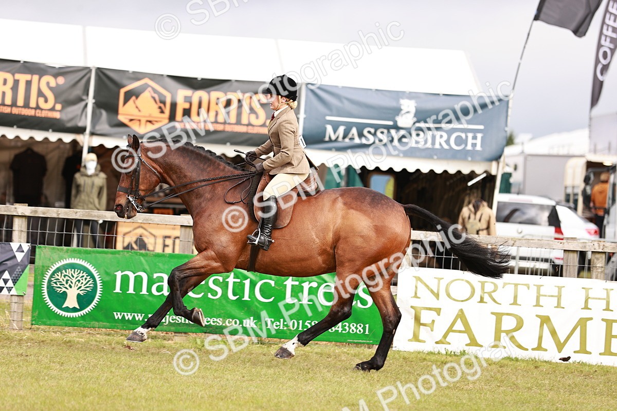 SBM_10870 - Class 81-84 - RIHS Ridden hunters Inc Ladies Hunter