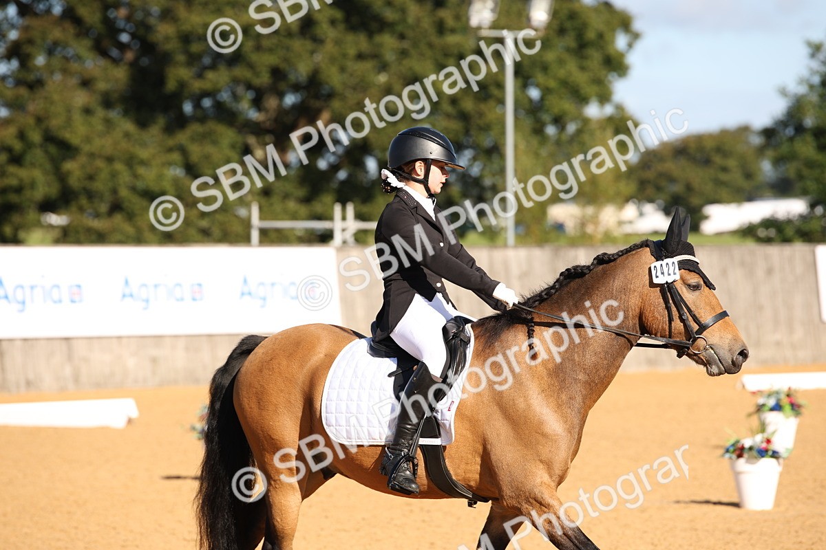 SBM_01895 - D2 Small Tour Championship Intro C