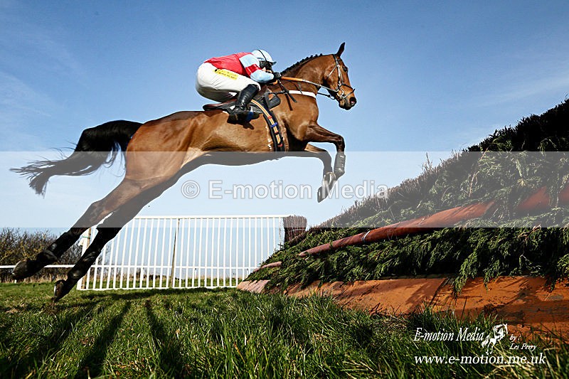 PtP 290314 404a - Equestrian