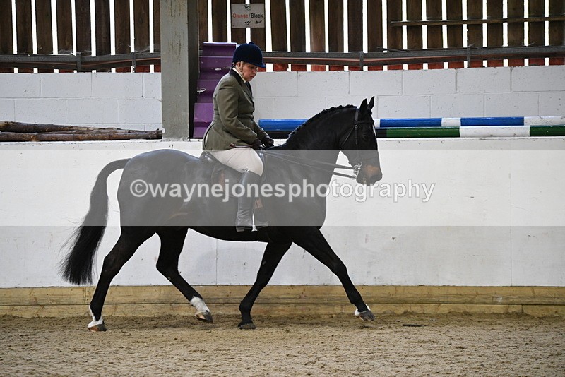 WJ5_6111 - Class 9 Ridden Veteran