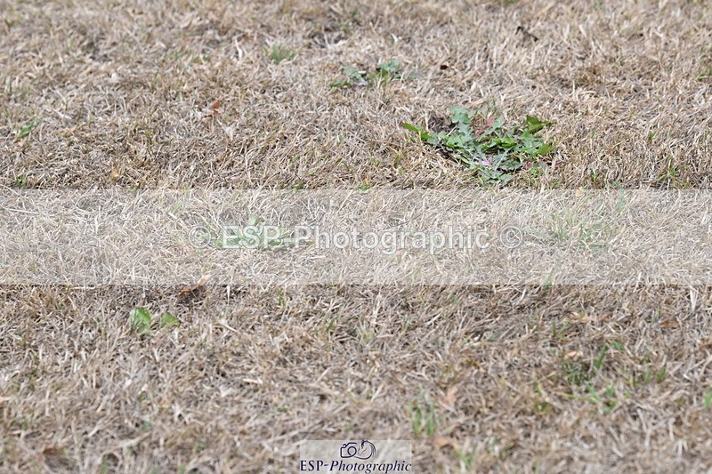 250820A-174548-12243 - Wednesday Presentations