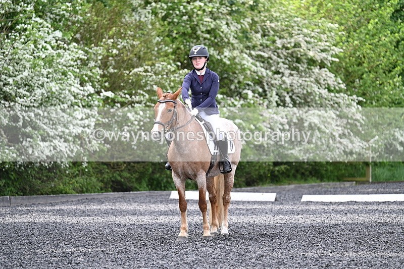 WJ7_8121 - Time 10:11 to 10:27