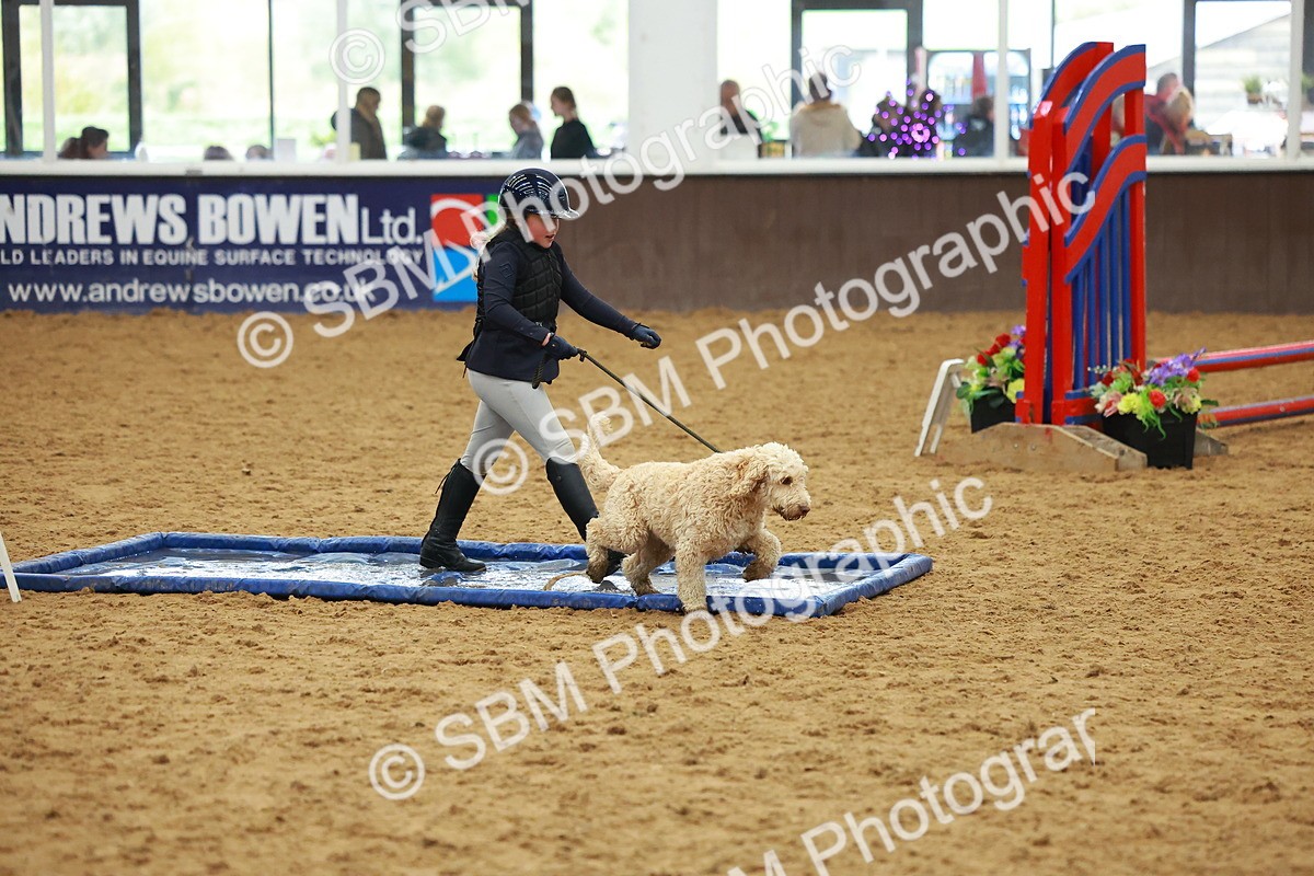 SBM_002188 - Class 3 - Horse & Hound (60cm)