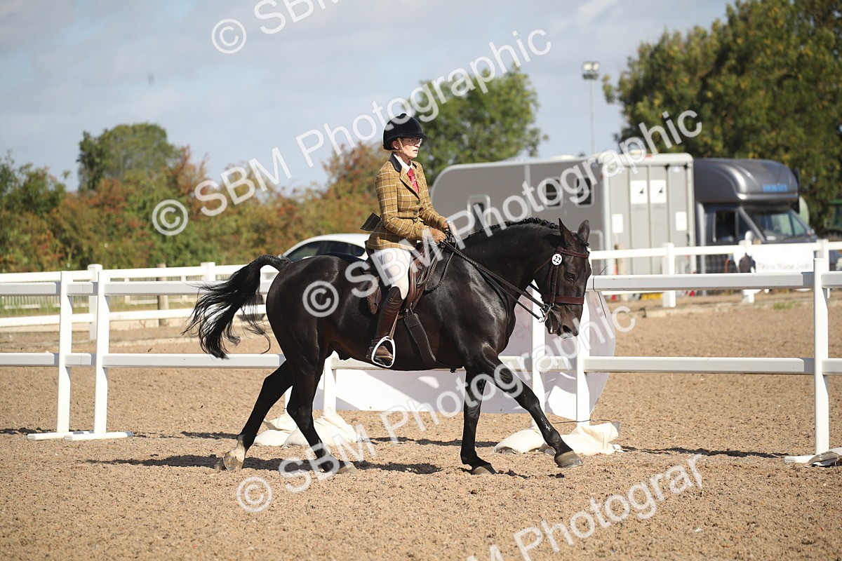 SBM_22773 - Class 602 - 2026 Area - Ridden Veteran