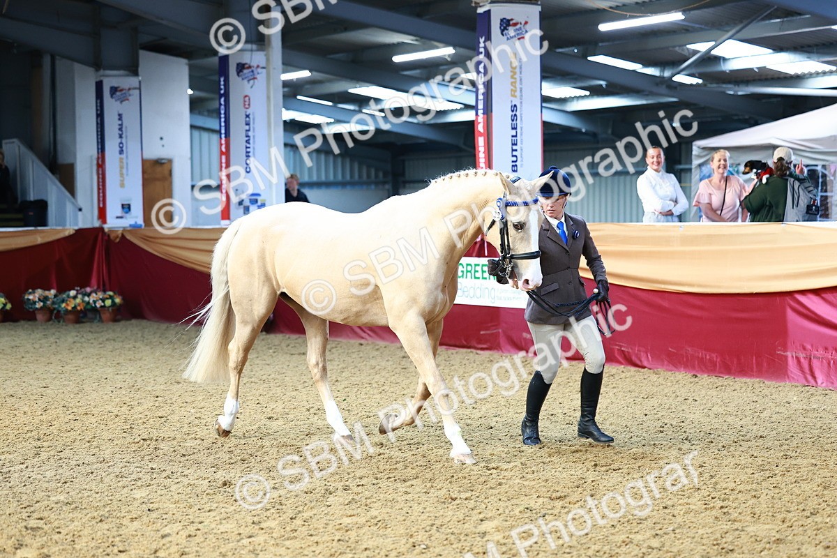 SBM_22183 - Class 902 - Supreme Final - IH Diamond