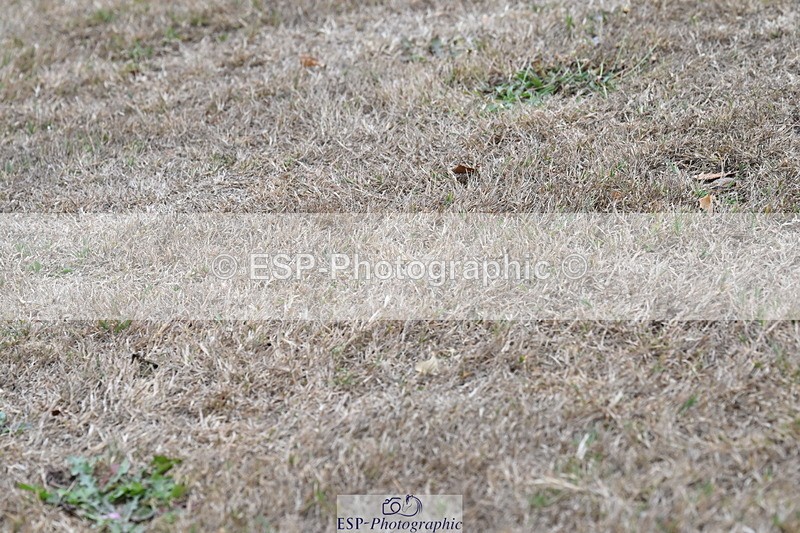 250820A-180640-12525 - Wednesday Presentations