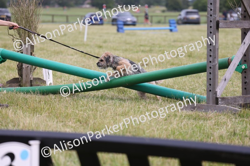 20260614-4369 - Class 25 - Horse and Hound Jumping