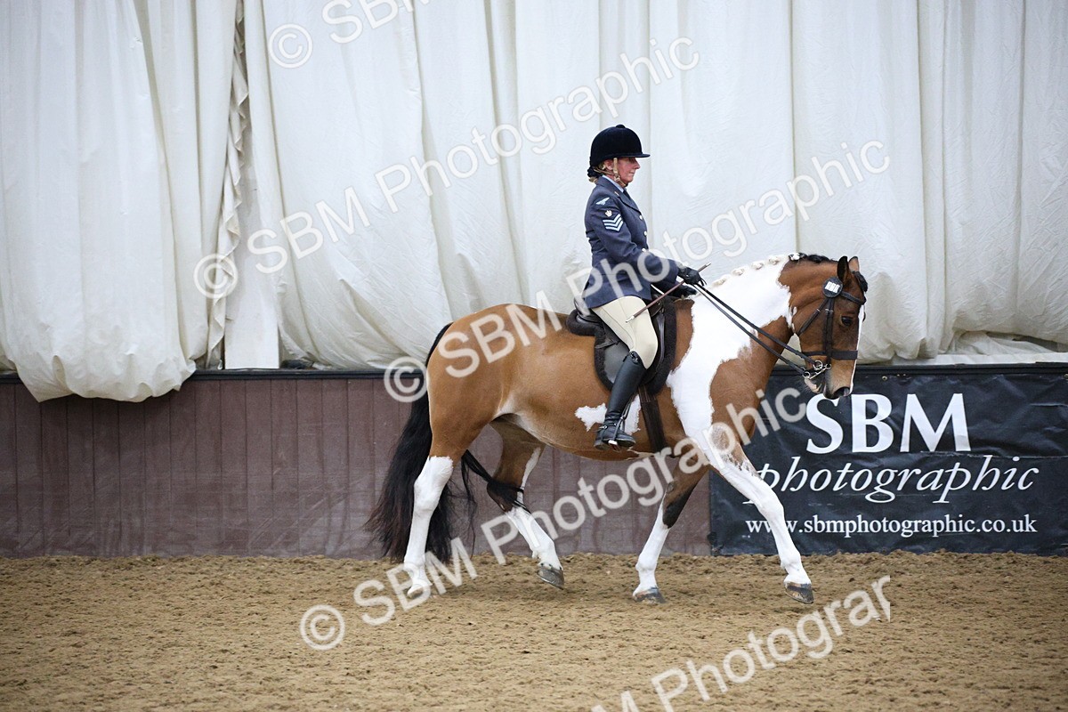 5K7A6069 - Class 48 - Ridden Mare