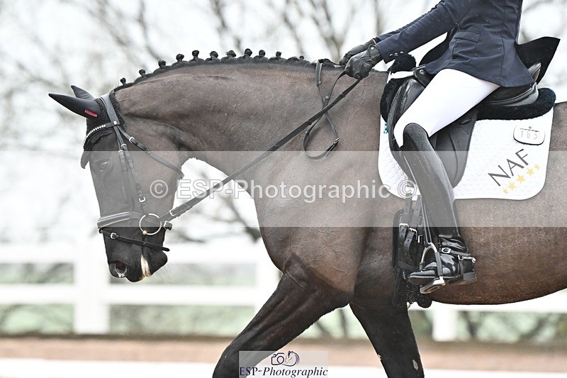 250215-120110-03315 - 165-Elder.Klatzko-Dynasty.Hit