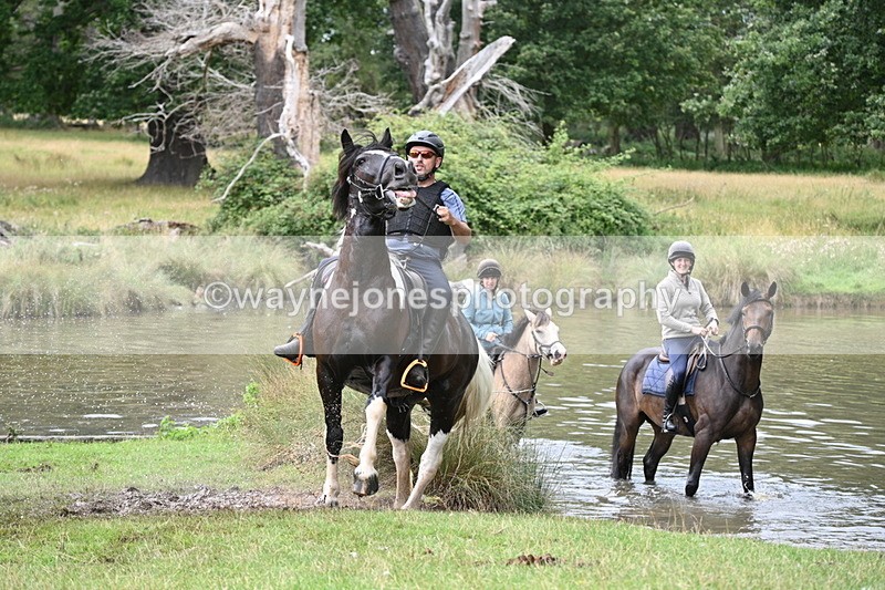 WJ7_4092 - Time at Water 12:52 to 13:22